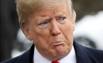 Lou Dobbs portrait during cable news career