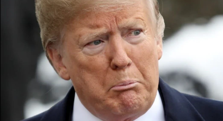 Lou Dobbs portrait during cable news career