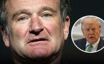 Robin Williams performing stand-up comedy