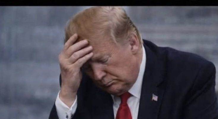 Donald Trump standing quietly in Washington during reflective moment after presidency