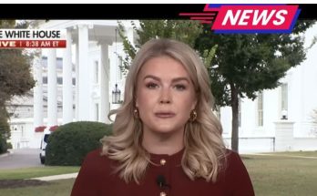 White House press briefing on security threat