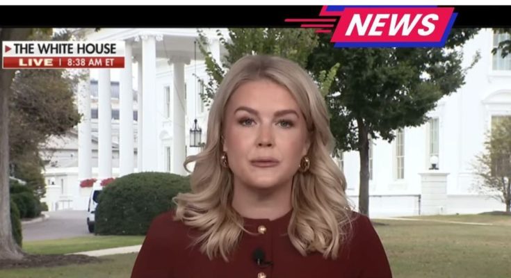 White House press briefing on security threat