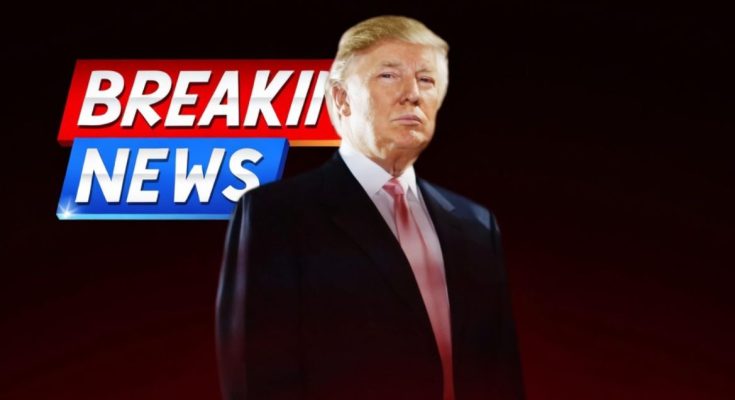 Federal agents patrolling Washington DC streets