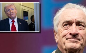 Robert De Niro speaking at political event