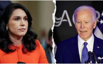 Tulsi Gabbard: We have the documents and proof