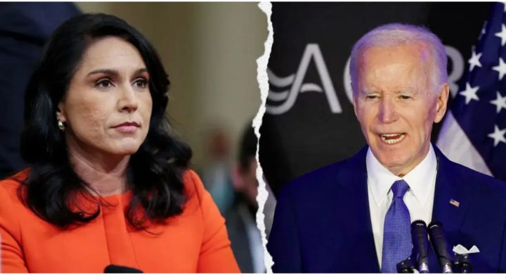 Tulsi Gabbard: We have the documents and proof