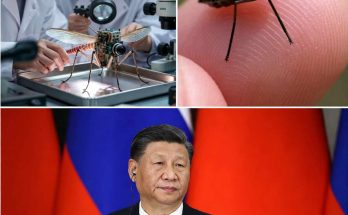 scientists examine robotic insect in laboratory setting, Xi Jinping below