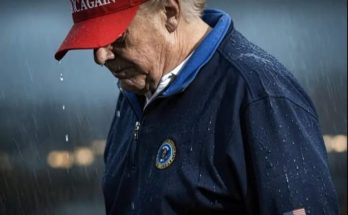 elderly man in red cap, rain-soaked, somber mood