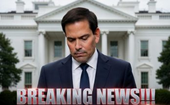 Some roles operate with a quieter form of authority. Their responsibility is not to make decisions visible to the public, but to determine which proposals