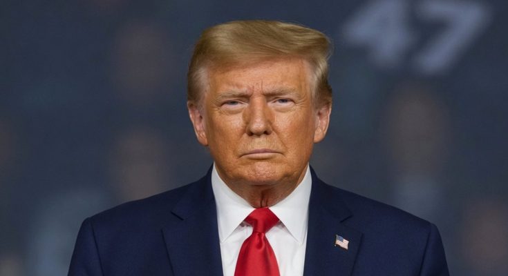 The courtroom proceedings that followed were less about the act itself and more about the weight of consequence. When the judge handed down an 18-month