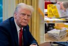 Dems Appeal Ruling After Judge Refuses To Block Trump Voting Order